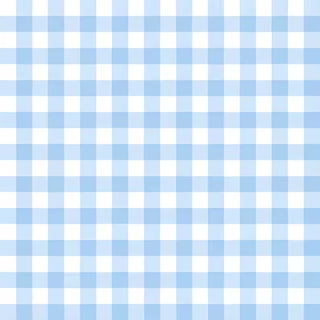 Light blue gingham swatch