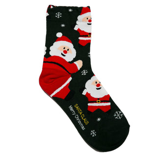 Santa Holiday Sock with Green Background 